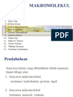 Makromolekul PDF