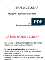 1 Aspectos Relevantes de La Estructura de La Membrana PDF