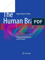 The Human Brain Prenatal Development and Structure, Springer, 2010 PDF