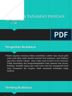 Budidaya Tanaman Pangan