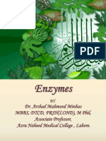 Enzymes 12 5 19