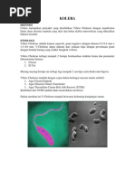 Download KOLERA by wahyura SN44585851 doc pdf