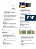 Ascaris Lumbricoides: Common Roundworm Infection