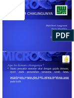 dokumen.tips_chikungunya-ppt-568d0516b986b