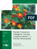 COT 87 Plantas Toxicas Camara