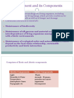 Ecosystem and Its Components