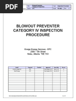 Blowout Preventer Category IV Inspection - Rev1