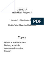 Ce0801A Individual Project 1: Lecture 1 - Module Overview Module Tutor: Mary-Ann Mackinnon