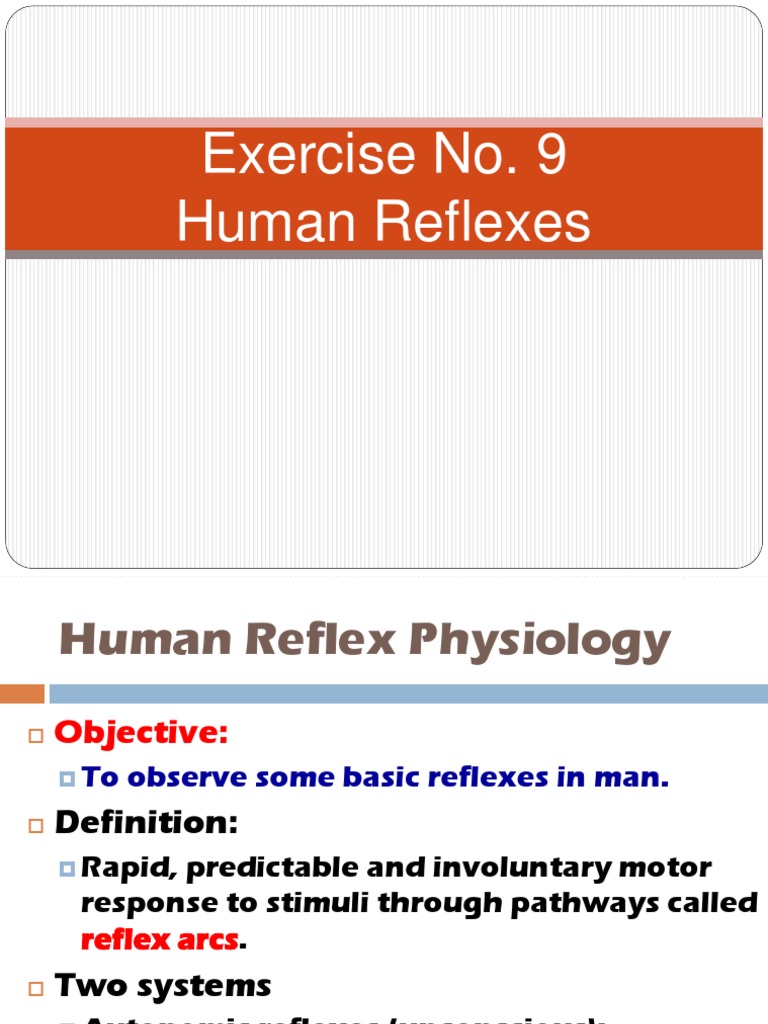 Activitiy No. 12 - Human Reflexes | PDF | Motor Neuron | Autonomic ...
