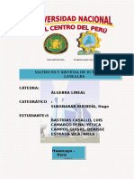 QUIMICA-POST.doc