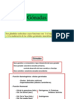 Gonadas PDF