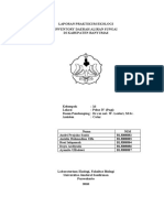 Download LAPORAN PRAKTIKUM EKOLOGI by Dayu Ardiyuda SN44590361 doc pdf