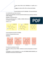 Acidos Nucleicos