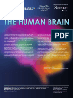 The Human Brain Atlas Introduction