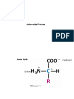 Lif 101 Biomolecule 2-2