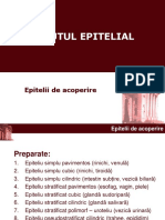 histologie-lp1_epitelial