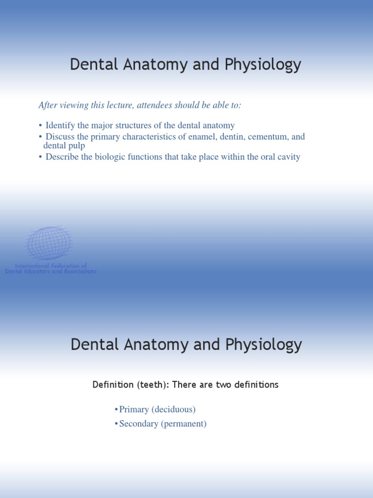 Dental Anatomy and Physiology Overview | PDF | Dentin | Human Tooth