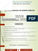 Responsabilização de Agentes Públicos PDF