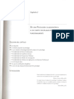 3 Cañoto y Peña - Cap. 2. De una psicología caleidoscópica