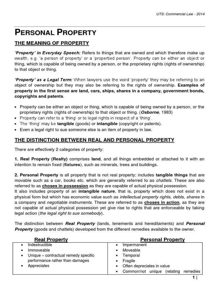 Personal Property Law PDF Possession (Law) Ownership