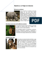 Animales Mamíferos en Peligro de Extinción