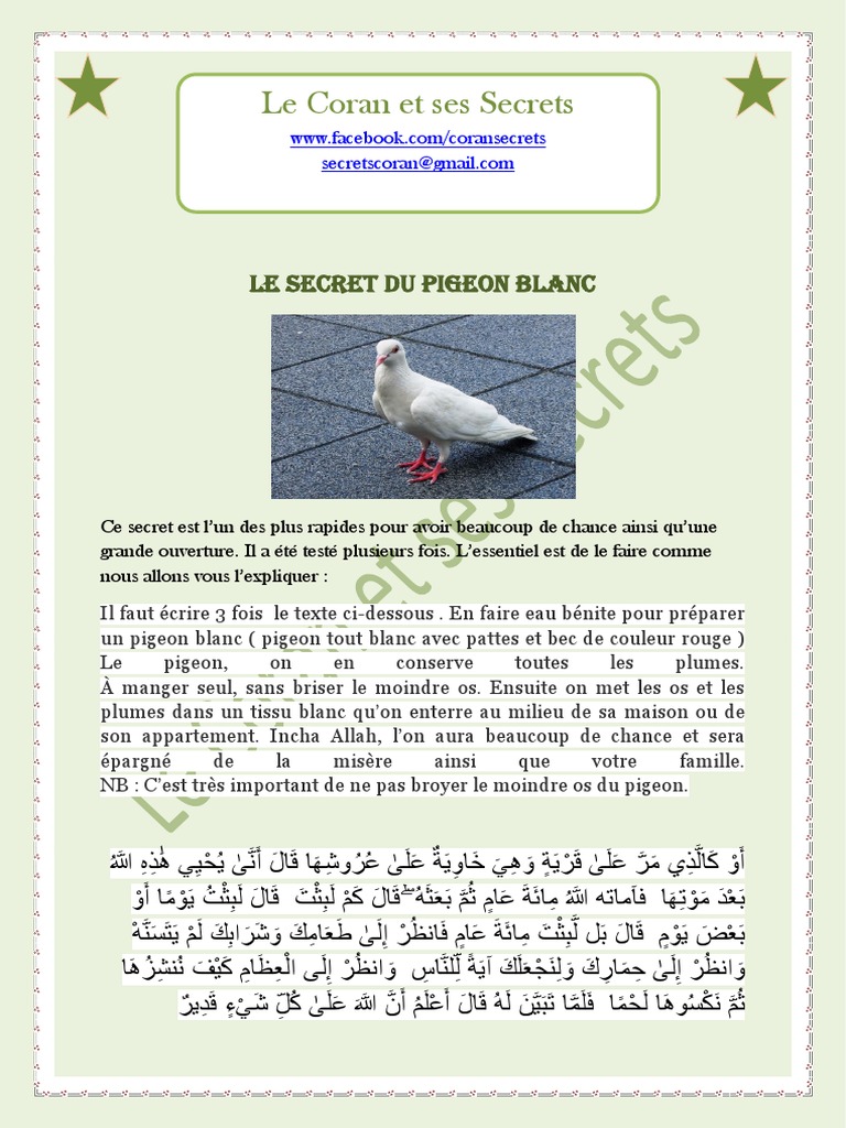 Secret De Pigeon