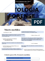 paologia forense.pptx