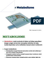 jalur metabolisme