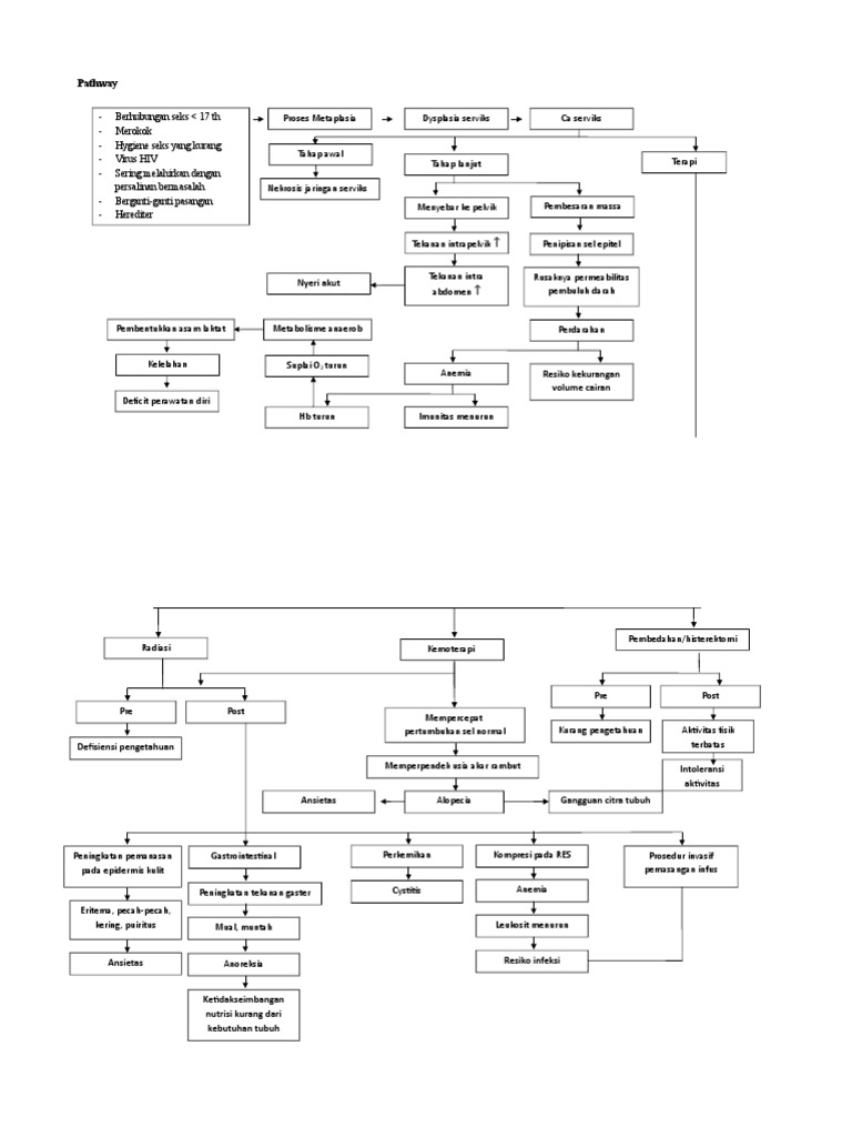 Pathway Kanker Serviks dan Faktor Risiko | PDF