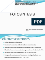 FOTOSINTESIS-1