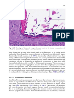 Canine and Feline Skin Cytology-18