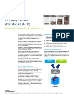 Delloite Propuesta Liquidity Planner Cl-Tech-Sap-Fscm-Lp-2014 PDF