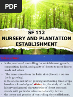 Nursery Layout Design Guide | PDF | Plant Nursery | Horticulture