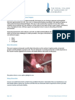 Dissection.pdf