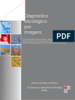 diagnostico_micologico_por_imagem.pdf