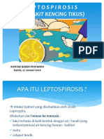 Leptospirosis (Penyakit Kencing Tikus