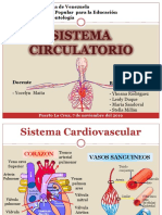 Sistema Circulatorio Seminario
