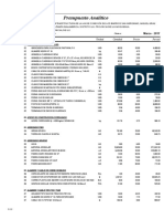 13-Presupuesto Analitico