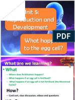 What happens to the egg cell