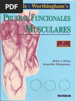 Brotzman - Rehabilitacion Ortopedica Clinica | PDF