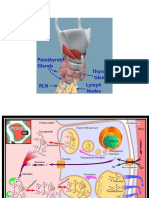 Synthesis of thyroid hormones involves iodination and coupling