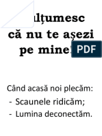 Mulțumesc.docx