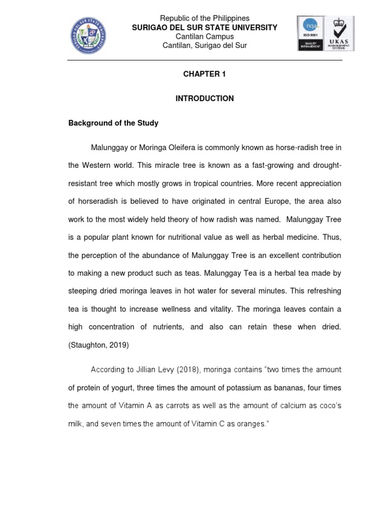 Malunggay Tea Feasibility Study Pdf Marketing Business