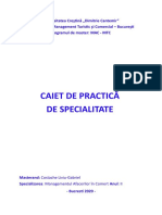 Caiet de Practica - Costache Liviu-Gabriel - MAC