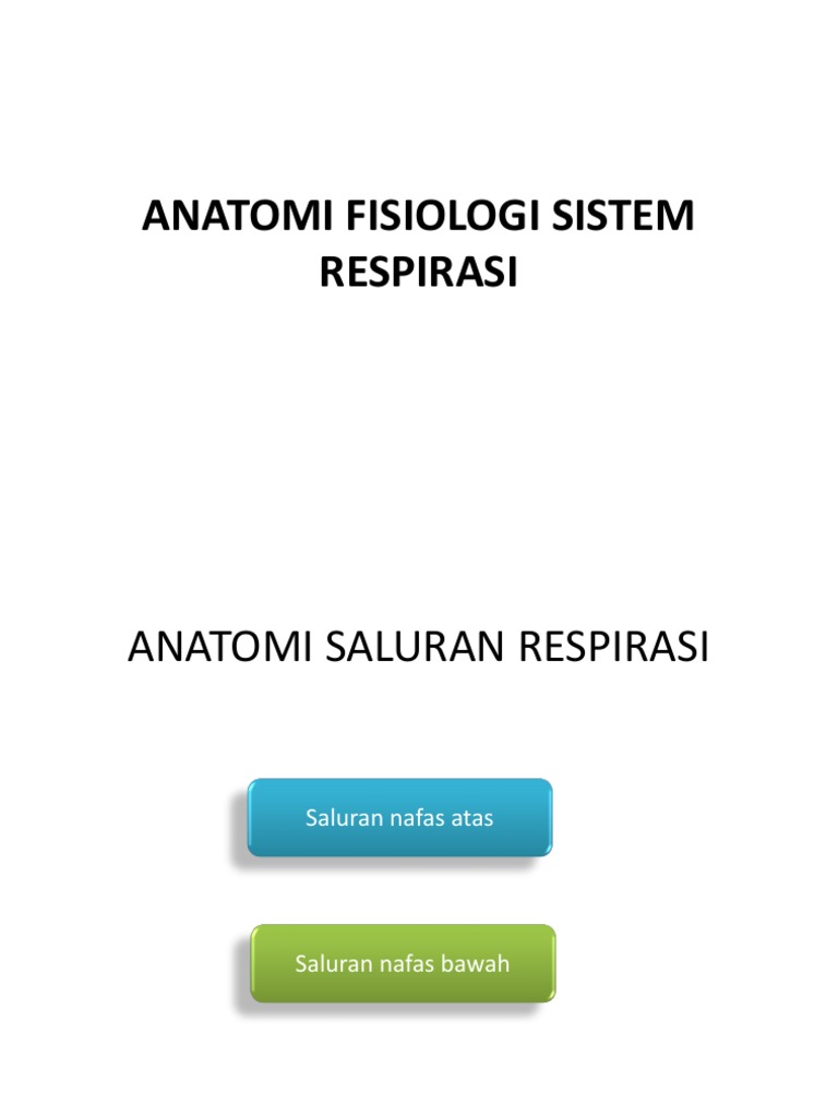 Anatomi Fisiologi Sistem Respirasi | PDF
