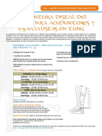 Acupuntura Distal Del DR - Tan para Tung