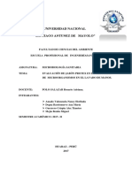 Informe de Investigacion Jabon Protex CD