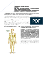 Funciones Del Sistema Linfático