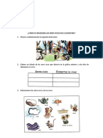 Cómo Se Organizan Los Seres Vivos en El Ecosistema