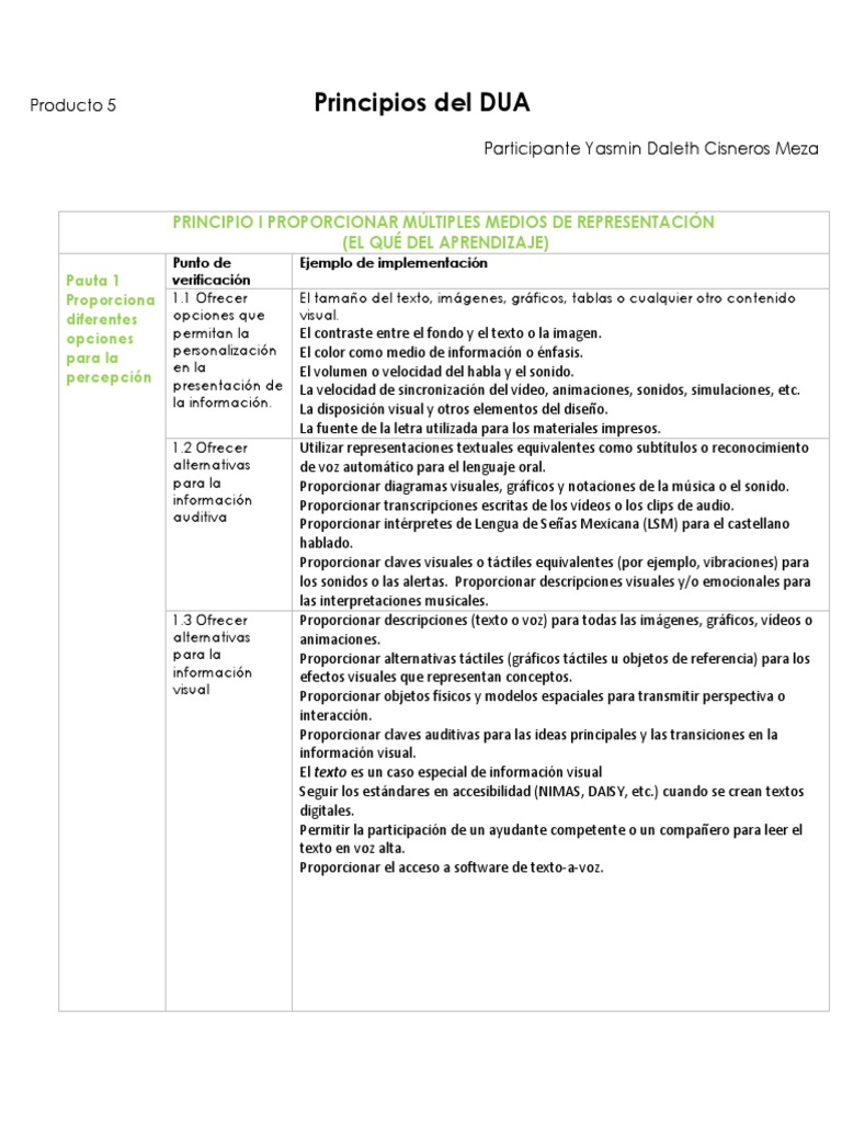 Principios y Pautas del DUA | PDF | Planificación | Evaluación